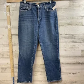 Blue Denim Jeans Straight Joes Jeans, Size 10