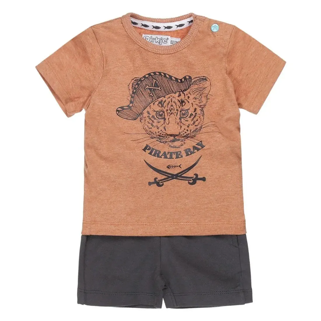 Boys Baby Set T-shirt With Shorts Rust Brown Grey | Dirkje