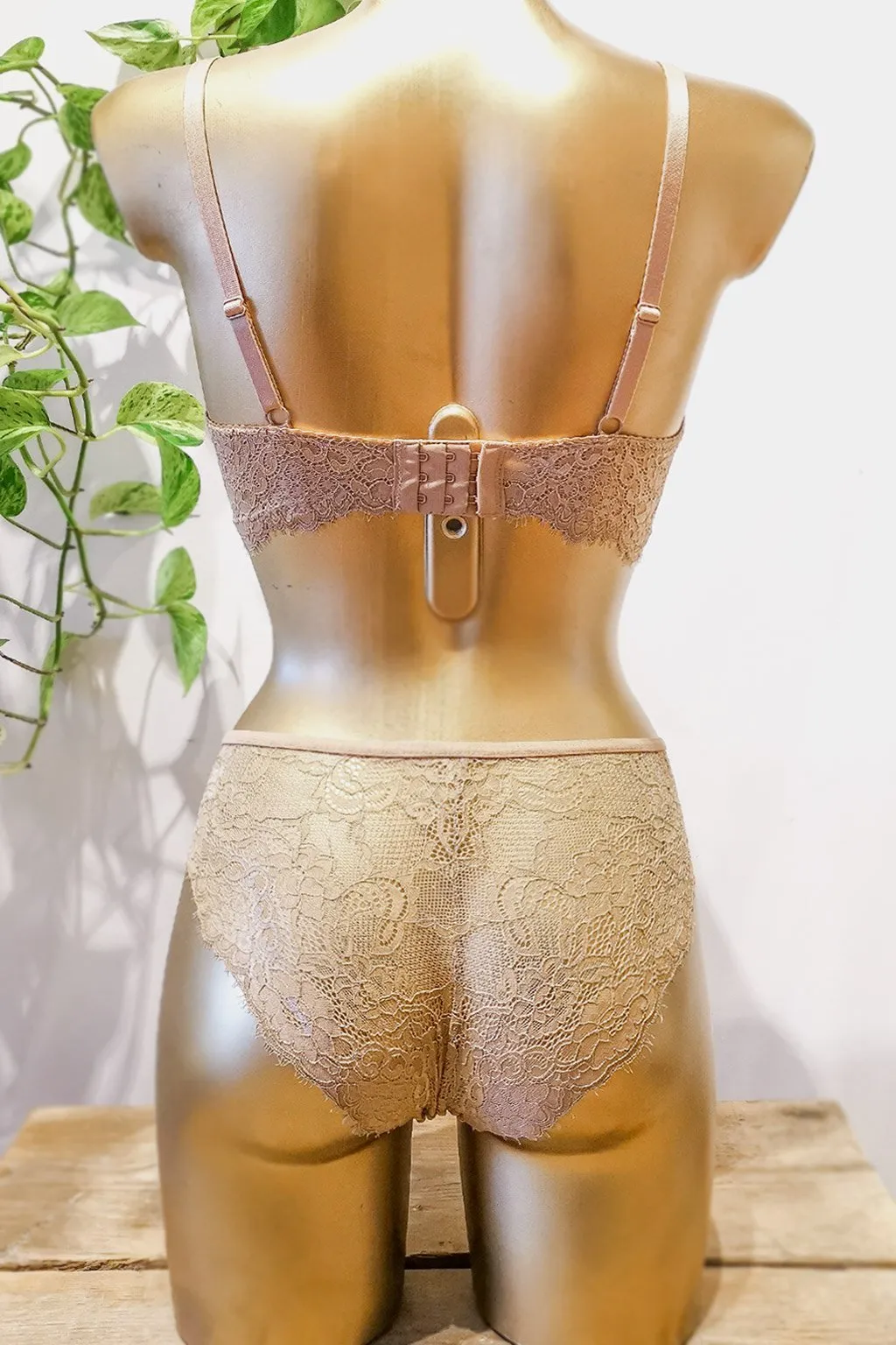 Lingerie Irina Beige Bottom